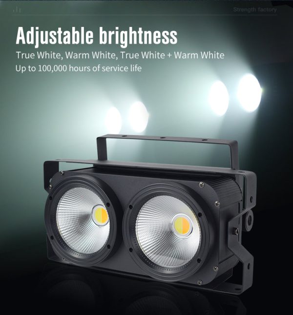 2-eyes-2100w-dmx512-blinder-audience-cob-led-par-light_5.jpg